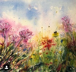 Wildflowers and pollinators