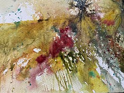 Hedgerows and Brambles