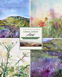 Experiment with watercolour