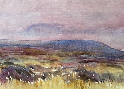 Moorland texture